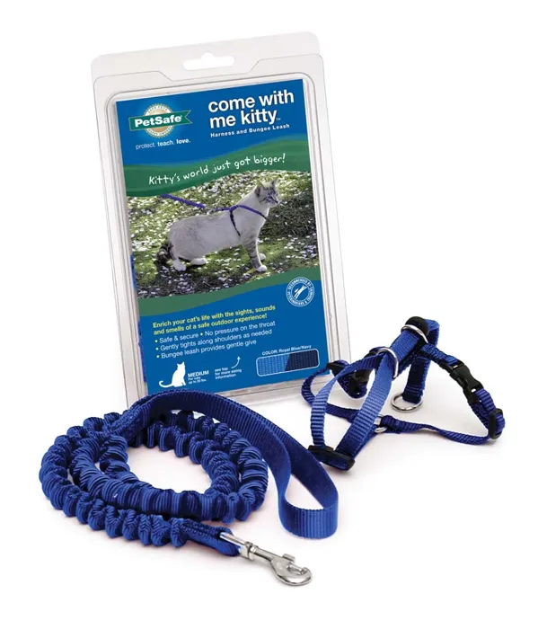 Harness & Bungee Leash Large Royal Blue