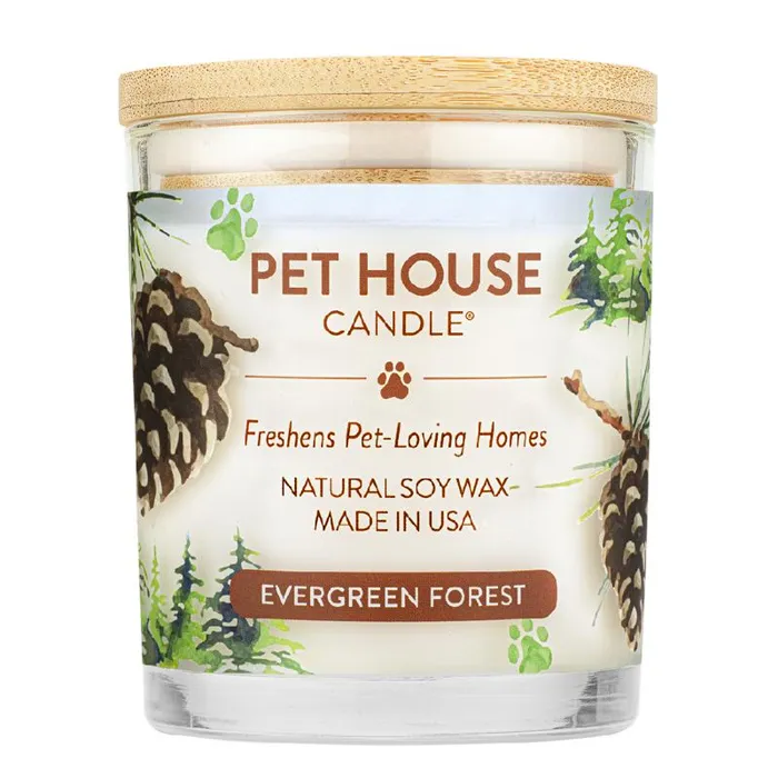 Pet House Candle Winter Evergreen Forest