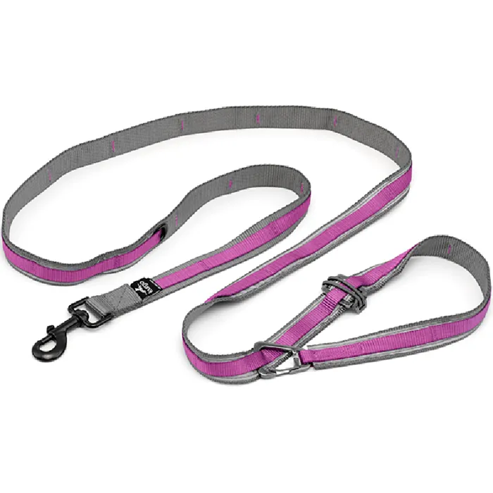Kurgo D Quantum Lsh Violet