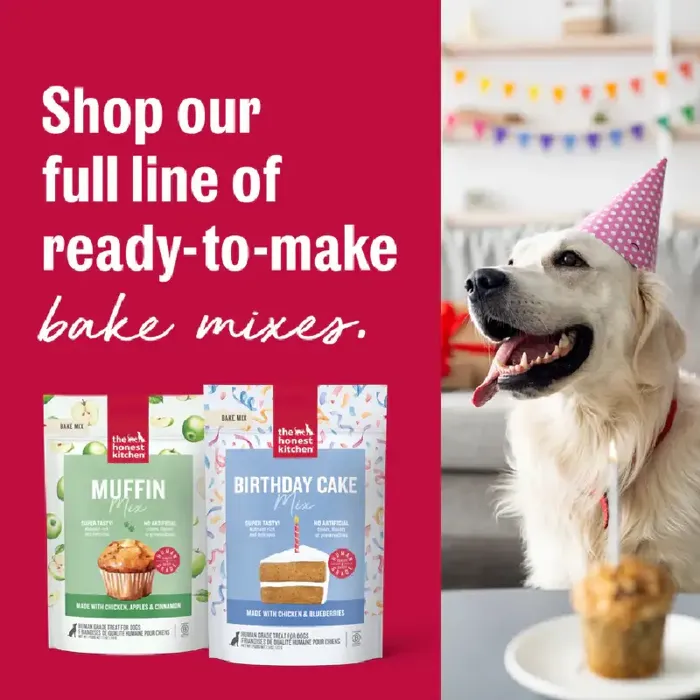 Honest Kitchen BD Cake Mix Chicken & Blueberries