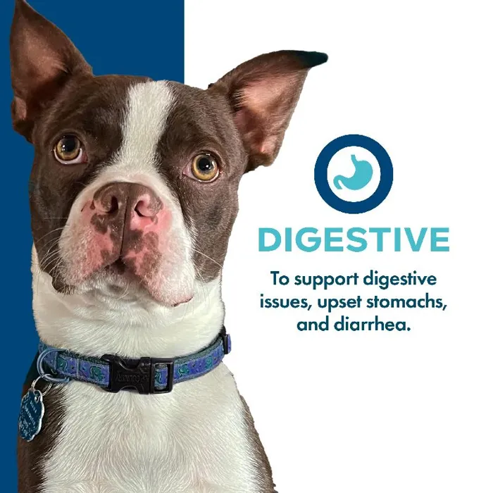 Fromm Treats Nutritionals Digestive 6oz