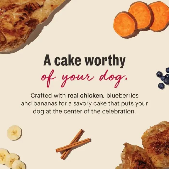 Honest Kitchen BD Cake Mix Chicken & Blueberries