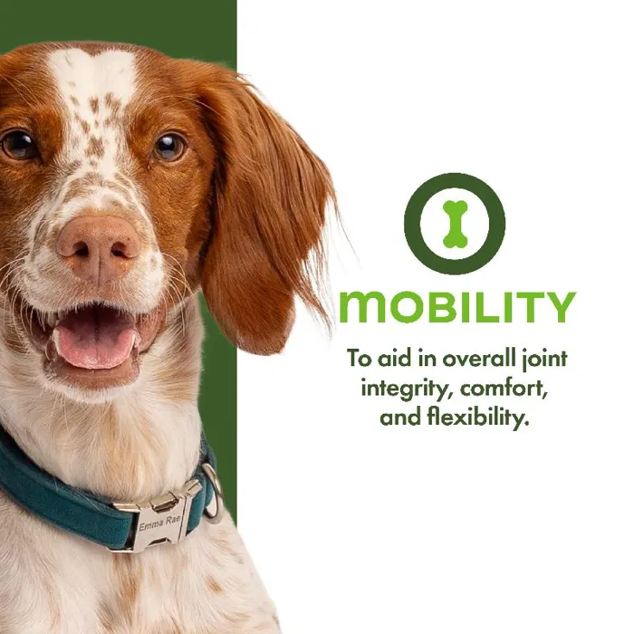 Fromm Treats Nutritionals Mobility 6oz